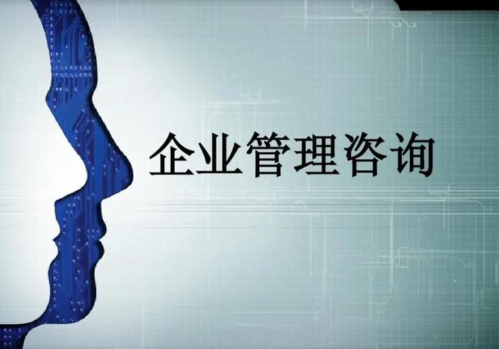 企业管理咨询
