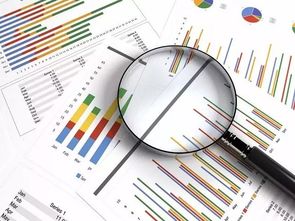 2017中国涂料与木器涂料市场调研报告 企业管理咨询视角